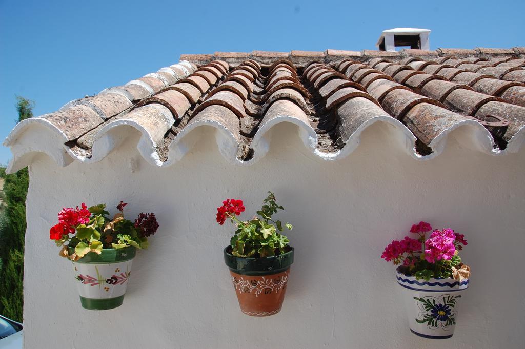 La Escuela Del Campo Bed and Breakfast Setenil De Las Bodegas Buitenkant foto