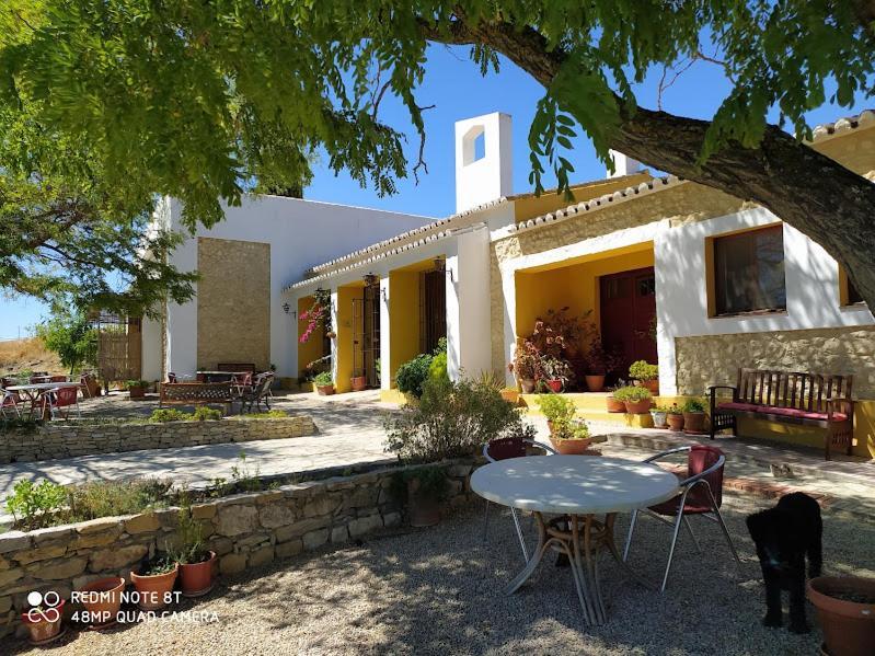 La Escuela Del Campo Bed and Breakfast Setenil De Las Bodegas Buitenkant foto